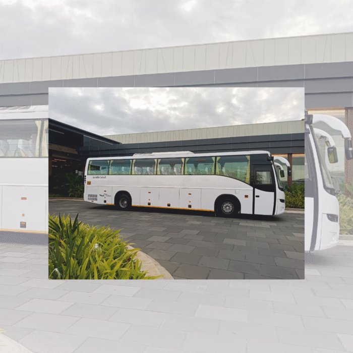 Volvo Bus